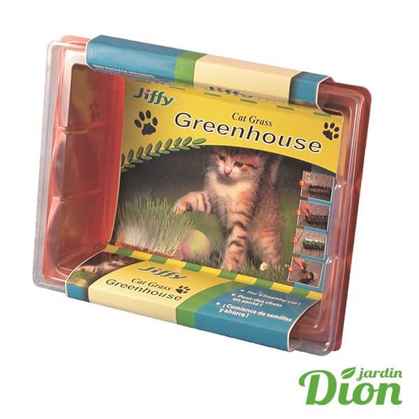 Trousse D Herbe Pour Chats Jiffy Jardin Dion