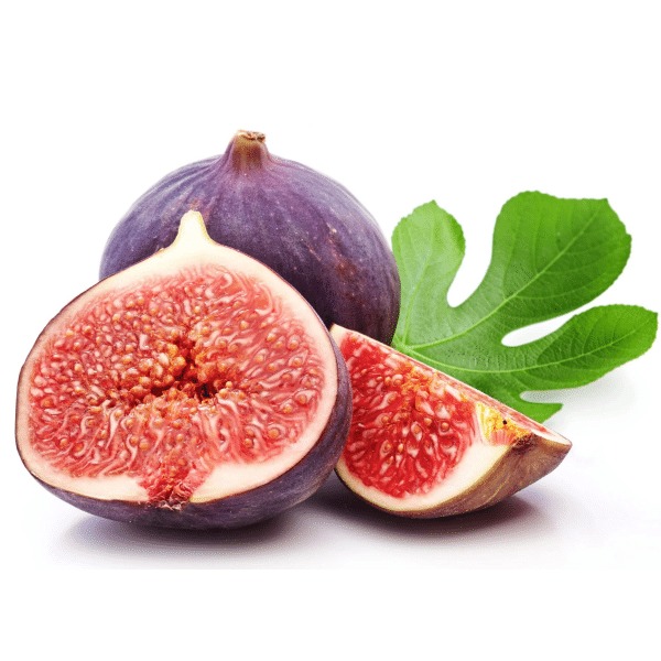 00007292 ficus carica chicago hardy 2g 03.png