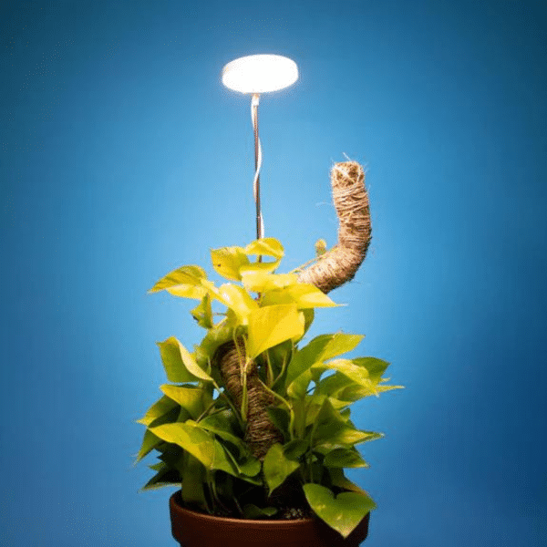 025g01 lampe ajustable pour plante 02.png