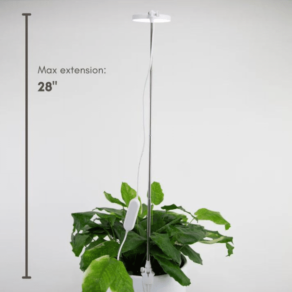 025g01 lampe ajustable pour plante 08.png