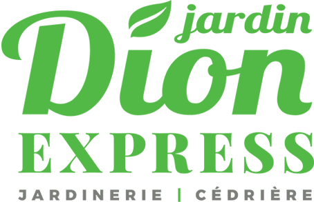 logo dion express v2