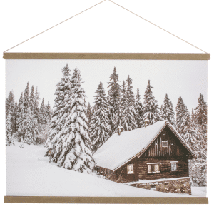 2834118 toile chalet et sapins 27 01.png